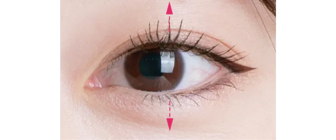 曲線ライン（キュート）