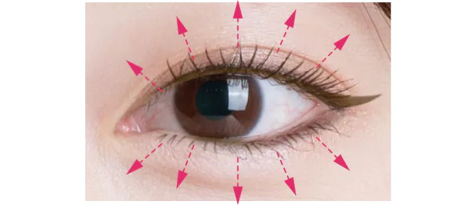 曲線＋直線ライン（拡張） 