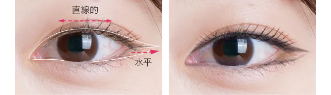 切れ長きれいライン