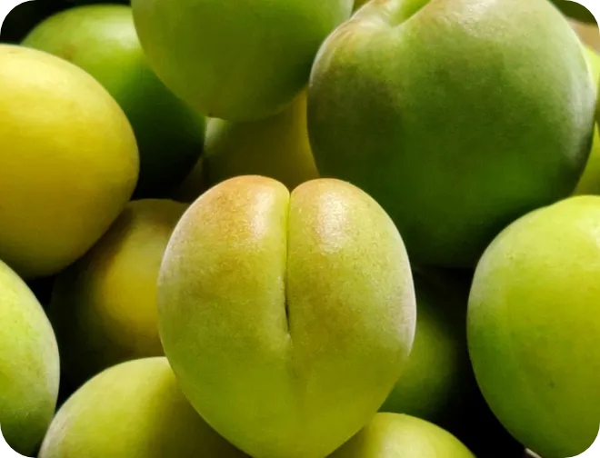 ウメ果実エキス