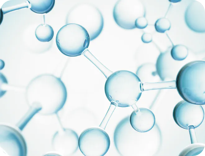 ビルベリー葉エキス