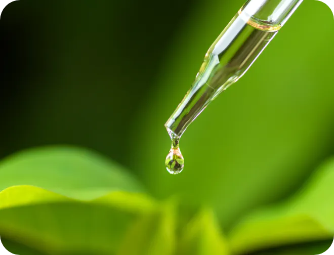 4種の植物エキス