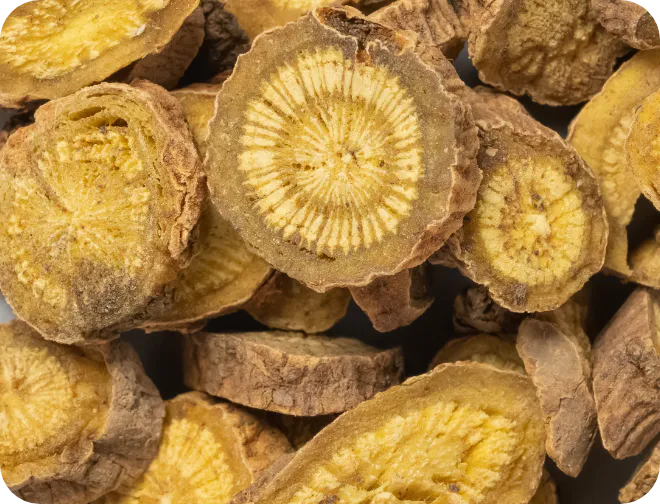 オウゴン根エキス